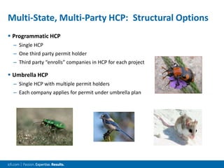 Multi-State, Multi-Party HCP: Structural Options
 Programmatic HCP
– Single HCP
– One third party permit holder
– Third party “enrolls” companies in HCP for each project
 Umbrella HCP
– Single HCP with multiple permit holders
– Each company applies for permit under umbrella plan
 