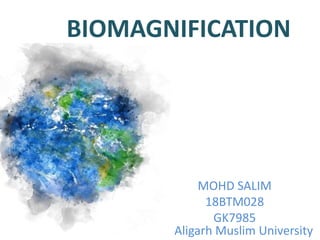 BIOMAGNIFICATION
MOHD SALIM
18BTM028
GK7985
Aligarh Muslim University
 