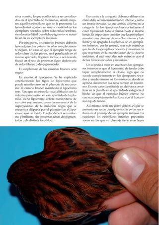 nina marrón, lo que conllevaría a ser penaliza-       En cuanto a la categoría: debemos diferenciar
dos en el apartado de melaninas, siendo mejo-      cómo debe ser un canario bronce intenso y cómo
res aquellos ejemplares que no la presenten. La    un bronce nevado, ya que ambos difieren en la
feomelanina aparece en mayor cantidad en los       categoría. En los ejemplares bronces intensos el
ejemplares nevados, sobre todo en las hembras,     color rojo invade toda la pluma, hasta el mismo
siendo más difícil que dicho pigmento se mani-     borde. Es importante también que los ejemplares
fieste en los ejemplares intensos.                 muestren un plumaje de un color intenso y bri-
   Por otra parte, los canarios bronces deberán    llante y no apagado. Las plumas de los ejempla-
tener el pico, las patas y las uñas completamen-   res intensos, por lo general, son más estrechas
te negros. En caso de que el ejemplar tenga de     que las de los ejemplares nevados y mosaicos, lo
color claro dichas partes, será penalizado en el   que repercute en la manifestación de su diseño
mismo apartado, llegando incluso a ser descali-    melánico, el cual será algo más estrecho que el
ficado en el caso de presentar algún dedo o uña    de los bronces nevados y mosaicos.
de color blanco o despigmentado.                      Un aspecto a tener en cuenta en los ejempla-
  El subplumaje de los canarios bronces será       res intensos es que el lipocromo de fondo debe
negro.                                             tapar completamente la cloaca, algo que no
                                                   sucede completamente en los ejemplares neva-
   En cuanto al lipocromo: Ya he explicado
                                                   dos y mucho menos en los mosaicos, donde se
anteriormente los tipos de lipocromo que
                                                   aprecia claramente esa zona carente de lipocro-
puede manifestarse en el plumaje de un cana-
                                                   mo. En este caso constituiría un defecto a pena-
rio. El canario bronce manifiesta el lipocromo
rojo. Para que un ejemplar sea calificado con la   lizar en la planilla en el apartado de categoría el
máxima puntuación en este apartado de la pla-      hecho de que el ejemplar bronce intenso no
nilla, dicho lipocromo deberá manifestarse de      cerrara completamente la cloaca con el lipocro-
un color rojo oscuro, como consecuencia de la      mo rojo de fondo.
superposición de la melanina negra que se             Así mismo, sería un grave defecto el que se
encuentra dispersa por el plumaje con el lipo-     presentaran zonas despigmentadas o con neva-
cromo rojo de fondo. El color deberá ser unifor-   dura en el plumaje de un ejemplar intenso. En
me y brillante, sin presentar zonas despigmen-     ocasiones los ejemplares intensos presentan
tadas o de distinta tonalidad.                     zonas en las que su plumaje tiene unas leves
 