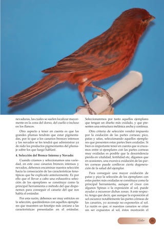 nevaduras, las cuales se suelen localizar mayor-    Seleccionaremos por tanto aquellos ejemplares
mente en la zona del dorso, del cuello o incluso    que tengan un diseño más oxidado, y que pre-
en los flancos.                                     senten una estructura melánica ancha y continua.
    Otro aspecto a tener en cuenta es que las          Otro criterio de selección vendrá impuesto
grandes plumas tendrán que estar pigmenta-          por la oxidación de las partes corneas; pico,
das, por lo que a los canarios bronces intensos     patas y uñas, seleccionando aquellos ejempla-
y los nevados se les tendrá que administrar ya      res que presenten estas partes bien oxidadas. Si
de nido los productos pigmentantes del pluma-       bien es importante tener en cuenta que si cruza-
je sobre los que luego hablaré.                     mos entre sí ejemplares con las partes corneas
                                                    muy oxidadas es posible que la descendencia
4. Selección del Bronce Intenso y Nevado:
                                                    pierda en vitalidad, fertilidad etc, digamos que
   Cuando criamos y seleccionamos una varie-        en ocasiones, una excesiva oxidación de las par-
dad, en este caso canarios bronces intensos y       tes corneas puede conllevar cierta degenera-
nevados, debemos encaminar nuestra selección        ción de la salud del ejemplar.
hacia la consecución de las características feno-
                                                        Para conseguir una mayor oxidación de
típicas que he explicado anteriormente. Es por
                                                    patas y pico la selección de los ejemplares con
ello que el llevar a cabo una exhaustiva selec-
                                                    estas partes más oxidadas se constituye como la
ción de los ejemplares se constituye como la
                                                    principal herramienta, aunque el cruce con
principal herramienta o método del que dispo-
                                                    algunos Spinus o la exposición al sol, puede
nemos para conseguir el canario del que nos
                                                    ayudar a oscurecer dichas zonas. A este respec-
habla el estándar.
                                                    to, tengo que decir, que aunque la exposición al
    Por esta razón, debemos ser muy estrictos en    sol oscurece notablemente las partes córneas de
la selección, quedándonos con aquellos ejempla-     los canarios, yo aconsejo no exponerlos al sol.
res que muestren un fenotipo más cercano a las      La razón es que, si nuestros canarios se crían
características presentadas en el estándar.         sin ser expuestos al sol, éstos mostrarán el


                                                                                           Color       31
 