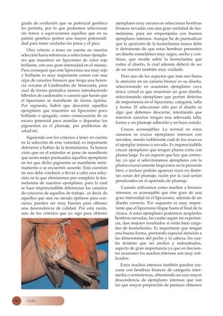grado de oxidación que su potencial genético        ejemplares muy oscuros es seleccionar hembras
     les permita, por lo que podremos seleccionar        bronces nevadas con una gran cantidad de feo-
     sin temor a equivocarnos aquellos que en su         melanina, para ser emparejadas con buenos
     patrón genético porten una mayor potenciali-        ejemplares intensos. Aunque he de puntualizar
     dad para tener oxidadas las patas y el pico.        que la aparición de la feomelanina nunca debe
        Otro criterio a tener en cuenta en nuestra       ir detrimento de que estas hembras presenten
     selección haría referencia a seleccionar ejempla-   un diseño eumelánico muy negro, ancho y con-
     res que muestren un lipocromo de color rojo         tinuo, que resalte sobre la feomelanina que
     brillante, con una gran intensidad en el mismo.     rodea al diseño, la cual además deberá de ser
     Para conseguir que este lipocromo sea muy rojo      de un marrón también muy oxidado.
     y brillante es muy importante contar con una           Pero uno de los aspectos que más nos llama
     cepa de canarios bronces que tenga una heren-       la atención en un canario bronce es su diseño,
     cia cercana al Cardenalito de Venezuela, para       seleccionando en ocasiones ejemplares cuya
     cual de forma periódica iremos introduciendo        única virtud es que muestran un gran diseño,
     híbridos de cardenalito x canario que harán que     seleccionando ejemplares que portan defectos
     el lipocromo se manifieste de forma óptima.         de importancia en el lipocromo, categoría, talla
     Por supuesto, habrá que descartar aquellos          y forma. El seleccionar sólo por el diseño es
     ejemplares que muestren un lipocromo poco           algo que debemos descartar, intentando que
     brillante o apagado, como consecuencia de su        nuestros canarios tengan una adecuada talla,
     escaso potencial para asimilar o depositar los      forma y un plumaje adherido y en buen estado.
     pigmentos en el plumaje, por problemas de
     salud etc.                                              Cruces aconsejables: Lo normal en estos
                                                         canarios es cruzar ejemplares intensos con
        Siguiendo con los criterios a tener en cuenta
                                                         nevados, siendo indiferente cuál de los sexos es
     en la selección de esta variedad, es importante
                                                         el ejemplar intenso o nevado. Es imprescindible
     detenerse a hablar de la feomelanina. Ya hemos
                                                         cruzar ejemplares que tengan pluma corta con
     visto que en el estándar se pone de manifiesto
                                                         pluma larga. Es un aspecto que hay que contro-
     que serán mejor puntuados aquellos ejemplares
                                                         lar, ya que si seleccionamos ejemplares con la
     en los que dicho pigmento se manifieste míni-
                                                         pluma excesivamente larga estos no la peinarán
     mamente o se encuentre ausente. Esta cuestión
                                                         bien, e incluso podrán aparecer rizos en distin-
     no nos debe conducir a llevar a cabo una selec-
                                                         tas zonas del plumaje, razón por la cual serían
     ción en la que eliminemos por completo la feo-
                                                         penalizados en el apartado de plumaje.
     melanina de nuestros ejemplares, para lo cual
     se hace imprescindible diferenciar los canarios         Cuando utilizamos como machos a bronces
     de concurso de aquellos de trabajo , es decir, de   intensos, es aconsejable que éste goce de una
     aquellos que aun no siendo óptimos para con-        gran intensidad en el lipocromo, además de un
     curso, pueden ser muy buenos para obtener           diseño correcto. Por supuesto es muy impor-
     una descendencia de calidad. Por esta razón,        tante que el lipocromo llegue hasta el final de la
     uno de los criterios que yo sigo para obtener       cloaca. A estos ejemplares podremos acoplarles
                                                         hembras nevadas, las cuales según mi experien-
                                                         cia, dan mejores resultados si están bien carga-
                                                         das de feomelanina. Es importante que tengan
                                                         una buena forma, prestando especial atención a
                                                         las dimensiones del pecho y la cabeza, los cua-
                                                         les tendrán que ser anchos y redondeados,
                                                         aspecto de gran importancia ya que en frecuen-
                                                         tes ocasiones los machos intensos son muy esti-
                                                         lizados.
                                                            Estos machos intensos también pueden cru-
                                                         zarse con hembras bronces de categoría inter-
                                                         media o semintensas, obteniendo así una mayor
                                                         descendencia de ejemplares intensos que son
                                                         los que mayor proporción de premios obtienen


32      Color
 