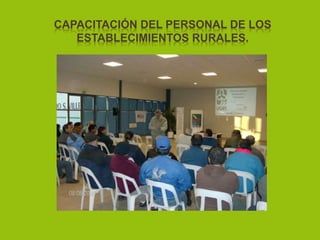 CAPACITACIÓN DEL PERSONAL DE LOS
ESTABLECIMIENTOS RURALES.
 