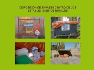 DISPOSICIÓN DE ENVASES DENTRO DE LOS
ESTABLECIMIENTOS RURALES.
 