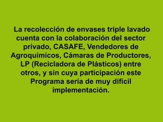 La recolección de envases triple lavado
cuenta con la colaboración del sector
privado, CASAFE, Vendedores de
Agroquímicos, Cámaras de Productores,
LP (Recicladora de Plásticos) entre
otros, y sin cuya participación este
Programa sería de muy difícil
implementación.
 