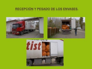 RECEPCIÓN Y PESADO DE LOS ENVASES.
 