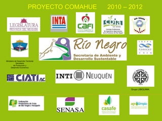 Ministerio de Desarrollo Territorial
Secretaria
de Producción y
Desarrollo Económico
Grupo LIBIQUIMA
PROYECTO COMAHUE 2010 – 2012
 