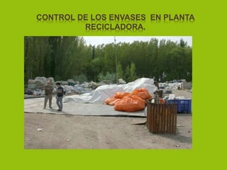CONTROL DE LOS ENVASES EN PLANTA
RECICLADORA.
 