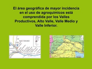 El área geográfica de mayor incidencia
en el uso de agroquímicos está
comprendida por los Valles
Productivos, Alto Valle, Valle Medio y
Valle Inferior.
 
