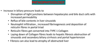 PATHOPHYSIOLOGY
• Increase in biliary pressure leads to
• Disruption of tight junctions between hepatocytes and bile duct cells with
increased permeability
• Reflux of bile contents in liver sinusoids
• Neutrophil infiltration , increased fibrinogenesis and deposition of
reticulin fibres in portal triad
• Reticulin fibres get converted into TYPE 1 Collagen
• Laying down of Collagen fibres leads to hepatic fibrosis obstruction of
sinusoids and secondary biliary cirrhosis and portal hypertension
• Fibrosis can also lead to atrophy of obstructed liver
 