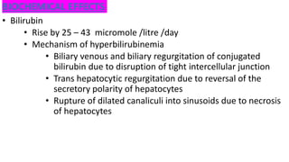BIOCHEMICAL EFFECTS
• Bilirubin
• Rise by 25 – 43 micromole /litre /day
• Mechanism of hyperbilirubinemia
• Biliary venous and biliary regurgitation of conjugated
bilirubin due to disruption of tight intercellular junction
• Trans hepatocytic regurgitation due to reversal of the
secretory polarity of hepatocytes
• Rupture of dilated canaliculi into sinusoids due to necrosis
of hepatocytes
 