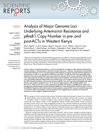 Analysis of Major Genome Loci
Underlying Artemisinin Resistance and
pfmdr1 Copy Number in pre- and
post-ACTs in Western Kenya
Bidii S. Ngalah1,2
, Luiser A. Ingasia1
, Agnes C. Cheruiyot1
, Lorna J. Chebon1,2
, Dennis W. Juma1
,
Peninah Muiruri1,2
, Irene Onyango1
, Jack Ogony1
, Redemptah A. Yeda1
, Jelagat Cheruiyot1,3
,
Emmanuel Mbuba4
, Grace Mwangoka4
, Angela O. Achieng1,3
, Zipporah Ng’ang’a2
, Ben Andagalu1
,
Hoseah M. Akala1
& Edwin Kamau1
1
Department of Emerging Infectious Diseases-Global Emerging Infections Surveillance and Response System (DEID-GEIS) Program,
United States Army Medical Research Unit-Kenya (USAMRU-K), Kenya Medical Research Institute (KEMRI)-Walter Reed Project,
Kisumu, Kenya, 2
Institute of Tropical Medicine and Infectious Diseases, College of Health Sciences, Jomo Kenyatta University of
Agriculture and Technology, Nairobi, Kenya, 3
School of Biological/physical sciences, Department of Zoology, Maseno University,
Maseno, Kenya, 4
Ifakara Health Institute, Bagamoyo, Tanzania.
Genetic analysis of molecular markers is critical in tracking the emergence and/or spread of artemisinin
resistant parasites. Clinical isolates collected in western Kenya pre- and post- introduction of artemisinin
combination therapies (ACTs) were genotyped at SNP positions in regions of strong selection signatures on
chromosome 13 and 14, as described in Southeast Asia (SEA). Twenty five SNPs were genotyped using
Sequenom MassArray and pfmdr1 gene copy number by real-time PCR. Parasite clearance half-life and in
vitro drug sensitivity testing were performed using standard methods. One hundred twenty nine isolates
were successfully analyzed. Fifteen SNPs were present in pre-ACTs isolates and six in post-ACTs. None of
the SNPs showed association with parasite clearance half-life. Post-ACTs parasites had significantly higher
pfmdr1 copy number compared to pre-ACTs. Seven of eight parasites with multiple pfmdr1 were
post-ACTs. When in vitro IC50s were compared for parasites with single vs. multiple gene copies, only
amodiaquine and piperaquine reached statistical significance. Data showed SNPs on chromosome 13 and 14
had different frequency and trend in western Kenya parasites compared SEA. Increase in pfmdr1 gene copy
is consistent with recent studies in African parasites. Data suggests genetic signature of artemisinin
resistance in Africa might be different from SEA.
T
he emergence and/or spread of drug resistant Plasmodium falciparum parasites continue to be a threat to
global malaria control and elimination efforts. This has prompted renewed call to increase and sustain
surveillance efforts to monitor emergence and/or spread of resistance1
. Drug resistance is monitored by
conducting in vivo efficacy studies, in vitro and genetic analyses of field clinical isolates. Genetic analysis of
molecular markers and in vitro drug susceptibility testing are the preferred methods for surveillance studies
because they are practical; a large number of field isolates can be rapidly and inexpensively collected and analyzed
compared to in vivo efficacy studies. Genetic analysis of molecular markers has an additional advantage in that
blood samples can also be conveniently collected on filter papers as dry blood spots, which can be transported and
stored without the need for cold chain for several months2
.
Molecular markers have been used to make policy decisions3
and to monitor changes in parasite drug sus-
ceptibility, especially longitudinally after change in treatment policies4
. However, some of the molecular markers
such as those for chloroquine and sulphadoxine-pyrimethamine (SP) resistance did not have much of an impact
in predicting the emergence and/or spread of resistance because by the time they were discovered, resistance was
already prevalent worldwide. With introduction of artemisinin combination therapies (ACTs) as the first-line
treatment in most malaria endemic countries, discovery of molecular markers for resistance before resistance has
widely emerged and/or spread will be crucial in surveillance efforts.
OPEN
SUBJECT AREAS:
GENETICS
BIOMARKERS
Received
12 October 2014
Accepted
6 January 2015
Published
6 February 2015
Correspondence and
requests for materials
should be addressed to
E.K. (edwin.kamau.
mil@mail.mil)
SCIENTIFIC REPORTS | 5 : 8308 | DOI: 10.1038/srep08308 1
 