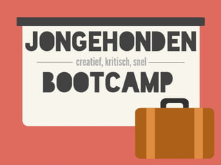 Uitleg Bootcamp JongeHonden
