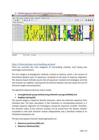 Page | 10
b) Multiple Sequence Alignment for Small Membrane protein
Step-3: Determining a tree building method
There are currently two main categories of tree-building methods, each having own
advantages and limitations.
The first category of phylogenetic methods is based on distance, which is the amount of
dissimilarity between pairs of sequences, computed on the basis of sequence alignment.
The distance-based methods assume that all sequences involved are homologous and that
tree branches are additive, meaning that the distance between two taxa equals the sum of
all branch lengths connecting them.
The algorithms based on distance matrix include-
 Unweighted pair group method using arithmetic average (UPGMA) and
 Neighbor joining (NJ)
The second category is based on discrete characters, which are molecular sequences from
individual taxa. The basic assumption is that characters at corresponding positions in a
multiple sequence alignment are homologous among the sequences involved. Therefore,
the character states of the common ancestor can be traced from this dataset. Another
assumption is that each character evolves independently and is therefore treated as an
individual evolutionary unit.
The two most popular character-based approaches are-
 Maximum parsimony (MP) and
 Maximum likelihood (ML)
 