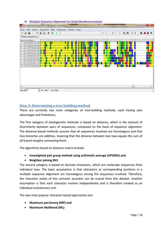 Bioinformatics Assignment Pdf Bioinformatics Assignment Pdf