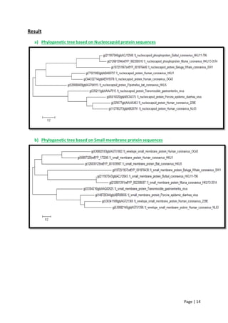 Page | 14
Result
a) Phylogenetic tree based on Nucleocapsid protein sequences
b) Phylogenetic tree based on Small membrane protein sequences
 