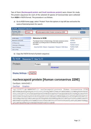 Page | 5
Two of them (Nucleocapsid protein and Small membrane protein) were chosen for study.
The protein sequences for each of the selected 10 species of Coronaviridae were collected
from NCBI in FASTA format. The procedure is as follows:
a) Go to NCBI home page, select ‘Protein’ from the options in top left box and write the
name of desired protein for search.
b) Copy the FASTA format of protein sequence.
 