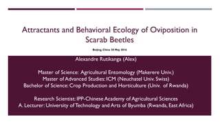 Attractants and Behavioral Ecology of Oviposition in
Scarab Beetles
Alexandre Rutikanga (Alex)
Master of Science: Agricultural Entomology (Makerere Univ.)
Master of Advanced Studies: ICM (Neuchatel Univ. Swiss)
Bachelor of Science: Crop Production and Horticulture (Univ. of Rwanda)
Research Scientist: IPP-Chinese Academy of Agricultural Sciences
A. Lecturer: University of Technology and Arts of Byumba (Rwanda, East Africa)
Beijing, China 30 May 2016
 