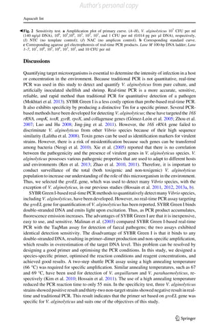 Discussions
Quantifying target microorganisms is essential to determine the intensity of infection in a host
or concentration in the environment. Because traditional PCR is not quantitative, real-time
PCR was used in this study to detect and quantify V. alginolyticus from pure culture, and
artiﬁcially inoculated shellﬁsh and shrimp. Real-time PCR is a more accurate, sensitive,
reliable, and rapid method than traditional PCR for quantitative detection of a pathogen
(Mokhtari et al. 2013). SYBR Green I is a less costly option than probe-based real-time PCR.
It also exhibits speciﬁcity by producing a distinctive Tm for a speciﬁc primer. Several PCR-
based methods have been developed for detecting V. alginolyticus; these have targeted the 16S
rRNA, ompK, toxR, gyrB, rpoX, and collagenase genes (Go´mez-Leo´n et al. 2005; Zhou et al.
2007; Luo and Hu 2008; Jing-jing et al. 2011). However, the 16S rRNA gene failed to
discriminate V. alginolyticus from other Vibrio species because of their high sequence
similarity (Lalitha et al. 2008). Toxin genes can be used as identiﬁcation markers for virulent
strains. However, there is a risk of misidentiﬁcation because such genes can be transferred
among bacteria (Neogi et al. 2010). Xie et al. (2005) reported that there is no correlation
between the pathogenicity and the presence of virulent genes in V. alginolyticus species. V.
alginolyticus possesses various pathogenic properties that are used to adapt to different hosts
and environments (Ren et al. 2013; Zhao et al. 2010, 2011). Therefore, it is important to
conduct surveillance of the total (both toxigenic and non-toxigenic) V. alginolyticus
population to increase our understanding of the role of this microorganism in the environment.
Thus, we selected the groEL gene, which was used to detect many Vibrio species, with the
exception of V. alginolyticus, in our previous studies (Hossain et al. 2011, 2012, 2013a, b).
SYBR Green I-based real-time PCR methods to quantitatively detect many Vibrio species,
including V. alginolyticus, have been developed. However, no real-time PCR assay targeting
the groEL gene for quantiﬁcation of V. alginolyticus has been reported. SYBR Green I binds
double-stranded DNA and emits light upon excitation. Thus, as PCR product accumulates,
ﬂuorescence emission increases. The advantages of SYBR Green I are that it is inexpensive,
easy to use, and sensitive. Malinan et al. (2003) compared SYBR Green I-based real-time
PCR with the TaqMan assay for detection of faecal pathogens; the two assays exhibited
identical detection sensitivity. The disadvantage of SYBR Green I is that it binds to any
double-stranded DNA, resulting in primer–dimer production and non-speciﬁc ampliﬁcation,
which results in overestimation of the target DNA level. This problem can be resolved by
designing a good primer and optimising the PCR conditions. In this study, we designed a
species-speciﬁc primer, optimised the reaction conditions and reagent concentrations, and
achieved good results. A two-step shuttle PCR assay using a high annealing temperature
(66 °C) was required for speciﬁc ampliﬁcation. Similar annealing temperatures, such as 67
and 69 °C, have been used for detection of V. anguillarum and V. parahaemolyticus, re-
spectively (Kim et al. 2010; Hossain et al. 2011). The use of a high annealing temperature
reduced the PCR reaction time to only 55 min. In the speciﬁcity test, three V. alginolyticus
strains showed positive result and thirty-two non-target strains showed negative result in real-
time and traditional PCR. This result indicates that the primer set based on groEL gene was
speciﬁc for V. alginolyticus and suits one of the objectives of this study.
bFig. 2 Sensitivity test. a Ampliﬁcation plot of primary curve. (A–H), V. alginolyticus 107
CFU per ml
(140 ng/ll DNA), 106
, 105
,104
, 103
, 102
, 101
, and 1 CFU per ml (0.014 pg per ll DNA), respectively,
(I) NTC (no template control); (J) NAC (no amplicon control). b Corresponding standard curve.
c Corresponding agarose gel electrophoresis of real-time PCR products. Lane M 100-bp DNA ladder; Lane
1–7, 107
, 106
, 105
, 104
, 103
, 102
, and 10 CFU per ml
Aquacult Int
123
Author's personal copy
 