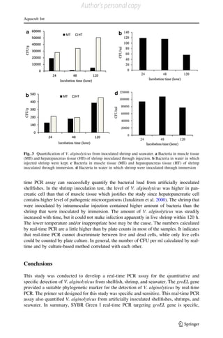 time PCR assay can successfully quantify the bacterial load from artiﬁcially inoculated
shellﬁshes. In the shrimp inoculation test, the level of V. alginolyticus was higher in pan-
creatic cell than that of muscle tissue which justiﬁes the study since hepatopancreatic cell
contains higher level of pathogenic microorganisms (Janakiram et al. 2000). The shrimp that
were inoculated by intramuscular injection contained higher amount of bacteria than the
shrimp that were inoculated by immersion. The amount of V. alginolyticus was steadily
increased with time, but it could not make infection apparently in live shrimp within 120 h.
The lower temperature and/or inappropriate host may be the cause. The numbers calculated
by real-time PCR are a little higher than by plate counts in most of the samples. It indicates
that real-time PCR cannot discriminate between live and dead cells, while only live cells
could be counted by plate culture. In general, the number of CFU per ml calculated by real-
time and by culture-based method correlated with each other.
Conclusions
This study was conducted to develop a real-time PCR assay for the quantitative and
speciﬁc detection of V. alginolyticus from shellﬁsh, shrimp, and seawater. The groEL gene
provided a suitable phylogenetic marker for the detection of V. alginolyticus by real-time
PCR. The primer set designed for this study was speciﬁc and sensitive. This real-time PCR
assay also quantiﬁed V. alginolyticus from artiﬁcially inoculated shellﬁshes, shrimps, and
seawater. In summary, SYBR Green I real-time PCR targeting groEL gene is speciﬁc,
Fig. 3 Quantiﬁcation of V. alginolyticus from inoculated shrimp and seawater. a Bacteria in muscle tissue
(MT) and hepatopancreas tissue (HT) of shrimp inoculated through injection. b Bacteria in water in which
injected shrimp were kept. c Bacteria in muscle tissue (MT) and hepatopancreas tissue (HT) of shrimp
inoculated through immersion. d Bacteria in water in which shrimp were inoculated through immersion
Aquacult Int
123
Author's personal copy
 