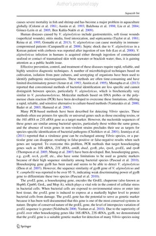 causes severe mortality in ﬁsh and shrimp and has become a major problem in aquaculture
globally (Colorni et al. 1981; Austin et al. 1993; Balebona et al. 1998; Liu et al. 2004;
Go´mez-Leo´n et al. 2005; Ben Kahla-Nakbi et al. 2009).
Human diseases caused by V. alginolyticus include gastroenteritis, soft tissue wounds
(superﬁcial wounds), otitis media, food intoxication, and septicaemia (Taylor et al. 1981;
Reina et al. 1995; Gomathi et al. 2013). V. alginolyticus can cause mortality in immune-
compromised patients (Campanelli et al. 2008). Septic shock due to V. alginolyticus in a
Korean patient with cirrhosis was reported after ingestion of raw ﬁsh (Lee et al. 2008). V.
alginolyticus infection in humans is acquired either through ingestion of contaminated
seafood or contact of traumatised skin with seawater or brackish water; thus, it is gaining
attention as a public health issue.
Effective prevention, control, and treatment of these diseases require rapid, reliable, and
highly sensitive diagnostic techniques. A number of microbiological techniques based on
cultivation, isolation from pure cultures, and serotyping of organisms have been used to
identify pathogenic microorganisms. These methods are often time-consuming and have
limited discriminatory power (Aznar et al. 1993; Austin et al. 1995). Mustapha et al. (2013)
reported that conventional methods of bacterial identiﬁcation are less speciﬁc and cannot
distinguish between species, particularly V. alginolyticus, which is biochemically very
similar to V. parahaemolyticus. Molecular methods based on DNA probes or the poly-
merase chain reaction (PCR) have been developed to overcome these limitations, offering
a rapid, reliable, and sensitive alternative to culture-based methods (Vantarakis et al. 2000;
Bader et al. 2003; Hameed et al. 2005).
Many PCR-based methods have been described for detecting Vibrio species. These
methods often use primers for speciﬁc or universal genes such as those encoding toxins, or
the 16S sRNA or 23S sRNA gene as a target marker. However, the nucleotide sequences of
these genes are similar among bacterial species, particularly those within the same genus,
and the absence of toxin genes in non-virulent strains precludes their use as targets for
species-speciﬁc identiﬁcation of bacterial pathogens (Chizhikov et al. 2001). Izumiya et al.
(2011) reported that a virulence gene can be exchanged among Vibrio species, or a par-
ticular gene can disappear, resulting in false-positive or false-negative results when such
genes are targeted. To overcome this problem, PCR methods that target housekeeping
genes such as 16S sRNA, 23S sRNA, amiB, dnaJ, gyrB, pho, rpoA, groEL, and rpoB
(Thompson et al. 2005; Nhung et al. 2007) have been developed. But, housekeeping genes,
e.g. gyrB, recA, pyrH, etc., also have some limitations to be used as genetic markers
because of their high sequence similarity among bacterial species (Pascual et al. 2010).
Housekeeping gene gyrB has been used and seems to be able to detect V. alginolyticus
(Zhou et al. 2007). However, the sequence similarity of gyrB gene of V. alginolyticus and
V. campbellii was reported to be over 95 %, indicating weak discriminating power of gyrB
gene to differentiate these two species (Pascual et al. 2010).
The groEL gene, a housekeeping gene, encodes the GroEL chaperone (also known as
Hsp60, Cpn60, GroL, and Mop A), which plays a vital role in the control of cellular stress
in bacterial cells. When bacterial cells are exposed to environmental stress or enter into
host tissue, the groEL gene is induced to express at a markedly higher level to protect
bacterial cells from damage. The groEL gene has the potential to serve as genetic marker
because it has been well documented that this gene is one of the most conserved systems in
nature. Despite of conserved nature of the groEL gene, the level of interspecies variation of
groEL sequence is greater (Nishibuchi 2006; Yushan et al. 2010). Due to the superiority of
groEL over other housekeeping genes like 16S rRNA, 23S rRNA, gyrB, we demonstrated
that the groEL gene is a suitable genetic marker for detection of many Vibrio species using
Aquacult Int
123
Author's personal copy
 