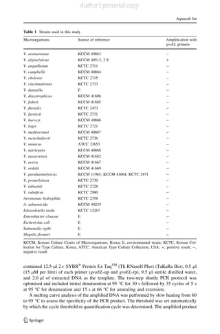 contained 12.5-ll 29 SYBRÒ
Premix Ex TaqTM
(Tli RNaseH Plus) (TaKaRa Bio), 0.5 ll
(15 lM per litre) of each primer (groEL-up and groEL-rp), 9.5 ll sterile distilled water,
and 2.0 ll of extracted DNA as the template. The two-step shuttle PCR protocol was
optimised and included initial denaturation at 95 °C for 30 s followed by 35 cycles of 5 s
at 95 °C for denaturation and 15 s at 66 °C for annealing and extension.
A melting curve analysis of the ampliﬁed DNA was performed by slow heating from 60
to 95 °C to assess the speciﬁcity of the PCR product. The threshold was set automatically
by which the cycle threshold or quantiﬁcation cycle was determined. The ampliﬁed product
Table 1 Strains used in this study
Microorganisms Source of reference Ampliﬁcation with
groEL primers
V. aestuarianus KCCM 40863 -
V. alginolyticus KCCM 40513, 2 E ?
V. anguillarum KCTC 2711 -
V. campbellii KCCM 40864 -
V. cholerae KCTC 2715 -
V. cincinnatiensis KCTC 2733 -
V. damsella E -
V. diazotrophicus KCCM 41606 -
V. ﬁsheri KCCM 41685 -
V. ﬂuvialis KCTC 2473 -
V. furnissii KCTC 2731 -
V. harveyi KCCM 40866 -
V. logei KCTC 2721 -
V. mediterranei KCCM 40867 -
V. metschnikovii KCTC 2736 -
V. mimicus ATCC 33653 -
V. natriegens KCCM 40868 -
V. navarrensis KCCM 41682 -
V. nereis KCCM 41667 -
V. ordalii KCCM 41669 -
V. parahaemolyticus KCCM 11965, KCCM 41664, KCTC 2471 -
V. proteolyticus KCTC 2730 -
V. tubiashii KCTC 2728 -
V. vulniﬁcus KCTC 2980 -
Aeromonas hydrophila KCTC 2358 -
A. salmonicida KCCM 40239 -
Edwardsiella tarda KCTC 12267 -
Enterobacter cloacae E -
Escherichia coli E -
Salmonella typhi E -
Shigella ﬂexneri E -
KCCM, Korean Culture Centre of Microorganisms, Korea; E, environmental strain; KCTC, Korean Col-
lection for Type Culture, Korea; ATCC, American Type Culture Collection, USA; ?, positive result; -,
negative result
Aquacult Int
123
Author's personal copy
 