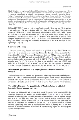 PCR and RT-PCR. A band of 1466 bp was found from all Vibrio and non-Vibrio species
when traditional PCR was performed with 16S rRNA universal primer (data were not
shown). RT-PCR of all V. alginolyticus strains tested showed positive results, with a mean
Ct value of 14 ± 0.35, whereas other Vibrio and non-Vibrio strains showed negative
results (Fig. 1a). The speciﬁcities of the PCR products were determined by melting curve
analysis; a reproducibly distinct Tm of 85.80 ± 0.15 °C was observed for all target strains
(Fig. 1b). Primer speciﬁcity was conﬁrmed by resolution of the PCR products in 2 %
agarose gel (Fig. 1c).
Sensitivity of the assay
A standard curve using various concentrations of puriﬁed V. alginolyticus DNA was
constructed to determine assay sensitivity. The results showed a linear relationship be-
tween Ct and log input CFU per ml. The detection limit was 0.14 pg per ll (equivalent to
approximately 101
CFU per ml) for puriﬁed DNA with a Ct value of 33.28 and the
expected dissociation temperature of 85.80 ± 0.15 °C (Fig. 2a). The linear regression
equation was Y = -3.276 ? 38.02, the slope of the standard curve was -3.293, and
efﬁciency of the assay was 102 % with R2
= 0.982 (Fig. 2b). The real-time PCR product
was also examined in agarose gel where sensitivity was found at 102
CFU per ml (Fig. 2c).
Detection and quantiﬁcation of V. alginolyticus in artiﬁcially inoculated
shellﬁsh
Vibrio alginolyticus was detected and quantiﬁed in artiﬁcially inoculated shellﬁsh by real-
time PCR (Table 2). The fresh shellﬁsh yielded a negative result, whereas the inoculated
shellﬁsh after 0-(zero) and 5-h enrichment showed positive results. Shellﬁsh after 5-h
enrichment exhibited a greater number of V. alginolyticus than those after 0-h enrichment.
The utility of the assay for quantiﬁcation of V. alginolyticus in artiﬁcially
inoculated live shrimp and seawater
To assess the applicability of the developed assay, V. alginolyticus was quantiﬁed in
artiﬁcially inoculated live shrimp and seawater (Table 2; Fig. 3). The shrimp that were
inoculated by intramuscular injection contained higher amount of bacteria than the shrimp
that were inoculated by immersion. The V. alginolyticus level was higher in pancreatic
cells than in muscle tissue in both cases (Fig. 3). V. alginolyticus was found at higher level
in water of immersion test than that of injection test. The V. alginolyticus was found to
increase signiﬁcantly with time in hepatopancreatic tissue of shrimp (Fig. 3a, c). The
numbers of bacteria determined by real-time PCR were slightly higher than those by plate
counts in most samples.
cFig. 1 Speciﬁcity test of primer. a Real-time PCR ampliﬁcation of V. alginolyticus strains and other Vibrio
spp. and non-Vibrio spp. (A–C) V. alginolyticus strains, (D) V. aestuariansus, V. anguillarum, V. campbellii,
V. cholera, V. cincinnatiensis, V. damsella, V. diazotrophicus, V. ﬁsheri, V. ﬂuvialis, V. furnissii, V. harveyi,
V. logei, V. mediterranei, V. metschnikovii, V. mimicus, V. natriegens, V. navarrensis, V. nereis, V. ordalii,
V. parahaemolyticus, V. proteolyticus, V. tubiashii, V. vulniﬁcus, Aeromonas hydrophila, A. salmonicida,
Edwardsiella tarda, Enterobacter cloacae, Escherichia coli, Salmonella typhi, Shigella ﬂexneri, NTC (no
template control), and NAC (no amplicon control). b Corresponding melting curve analysis. c Corresponding
agarose gel electrophoresis. Lanes 1–3, V. alginolyticus strains; lanes 4–31, other Vibrio spp., and non-
Vibrio spp
Aquacult Int
123
Author's personal copy
 