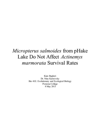 Micropterus salmoides from pHake
Lake Do Not Affect Actinemys
marmorata Survival Rates
Kian Bagheri
Dr. Nina Karnovsky
Bio 41E: Evolutionary and Ecological Biology
Pomona College
8 May 2015
 