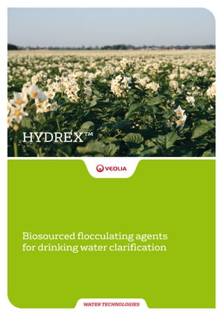 HYDREX™
WATER TECHNOLOGIES
Biosourced flocculating agents
for drinking water clarification
 