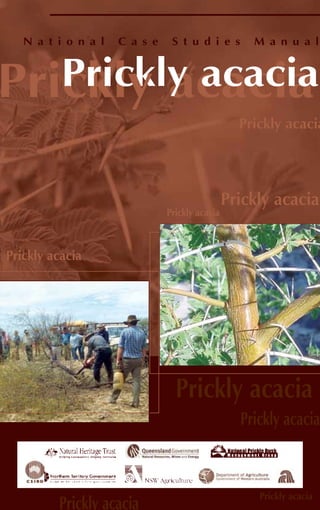 NationalCaseStudiesManualPricklyacacia
16949 Prickly acacia cover 2/4/05 11:34 AM Page 1
N a t i o n a l C a s e S t u d i e s M a n u a l
PricklPrickly acaciay acacia
 