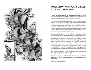 Can you talk a little about the bio region where you reside? What are
some medicinal plants one is likely to find around here? What are some
examples that are also found in more urban environments?
I live in the central Appalachian bioregion, the part of the Appalachian
Plateaus. The glaciers did not make it here, thus giving our forests deep
well-drained soils. It has limestone bedrock that creates good amounts of
calcium and magnesium to support many types of plants. So, there are a
lot of medicinal plants that grow here. You can find Goldenseal, American
Ginseng, Blue cohosh, trillium, black cohosh, black haw, white oak, lobe-
lia, skullcap, butterfly weed, wild ginger, wild yam, on and on and on…
there are over 500 medicinal plants in this area.
Some examples of plants that you can find here as well as in more urban
areas are plantain, yarrow, dandelion, self-heal, burdock, ragweed (yes—it
is medicinal! Tincture of the fresh plant is the best thing you can take for
the symptoms that breathing it’s pollen gives many hayfever), canadian
fleabane, cleavers, chickweed, mimosa tree. And then in gardens you can
find or grow many medicinal herbs easily like comfrey, or Echinacea, or
calendula. Many urban areas have larger parks where you can find me-
dicinal herbs that you may not see in other areas of the city. Anywhere
you harvest herbs for medicinal use it is important to know if that plant
concentrates heavy metals for example, like horsetail or ginkgo, and only
pick those from very clean areas. This is obviously an issue in larger cities,
but in rural areas as well. You have to know the history of the land, and
what is going on currently. Is there chemical agriculture upstream? Was
there strip mining in the area 50 years ago?
How does your approach to healing differ from mainstream allopathic
medicine? Are the two mutually exclusive, or can folks use a little from
both fields?
People can definitely use both.
INTERVIEW WITH CATY CRABB,
CLINICAL HERBALIST
 
