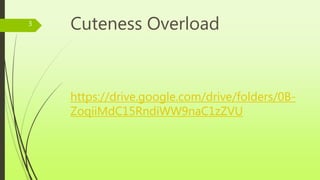 Cuteness Overload
https://drive.google.com/drive/folders/0B-
ZoqiiMdC15RndiWW9naC1zZVU
3
 