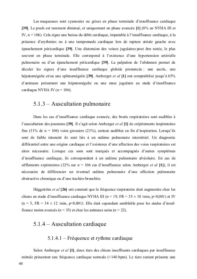 Serfass Pierre - Thèse de doctorat vétérinaire