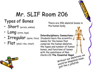 Mr. SLIF Room 206
Types of Bones
• Short (wrists, ankles)
• Long (arms, legs)
• Irregular (spine, face)
• Flat (skull, ribs, chest)
There are 206 skeletal bones in
the human body.
Without our skeletons, we
would be shapeless mass,
just like a jellyfish.
Interdisciplinary Connections:
Students learn the scientific
names for the bones that
comprise the human skeleton,
the types and number of human
bones, and functions of bones
with the assistance of Ron
Clark’s CD The Essential Raps!
 