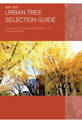 CASEY TREES
URBAN TREE
SELECTION GUIDE
A Designer’s List of Appropriate Trees for the
Urban Mid-Atlantic
 