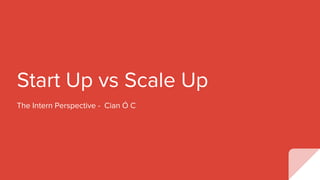 Start Up vs Scale Up
The Intern Perspective - Cian Ó C
 