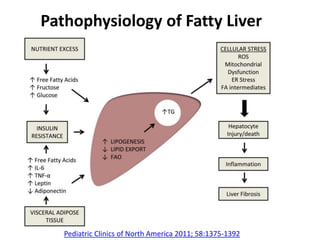 Source: Pediatric Clinics of North America 2011; 58:1375-1392 (
Pathophysiology of Fatty Liver
 