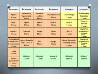 Estructura Curricular
 