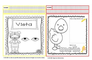 16-02-2021 La vista nos permite observar todo, decora la imagen con muchos colores 16-02-2021 Sigue las indicaciones,
 