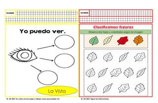 La Vista
Observa las hojas y coloréalas según la imagen
18 -02-2021 En cada circulo pega o dibuja cosas que puedes ver 18 -02-2021 Sigue las indicaciones
 