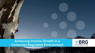 www.thinkbrg.com
Achieving Income Growth in a
Consumer Regulated Environment
 