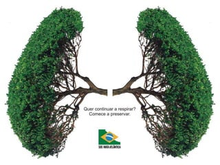 Meio ambiente e desenvolvimento sustentvel