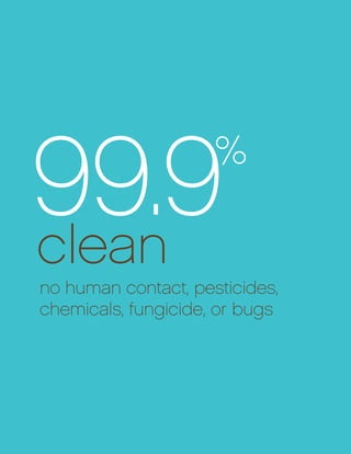 99.9clean
%
no human contact, pesticides,
chemicals, fungicide, or bugs
 
