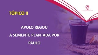 TÓPICO II
APOLO REGOU
A SEMENTE PLANTADA POR
PAULO
 