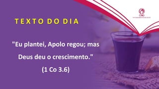 T E X T O D O D I A
"Eu plantei, Apolo regou; mas
Deus deu o crescimento."
(1 Co 3.6)
 