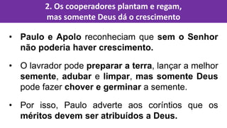 • Paulo e Apolo reconheciam que sem o Senhor
não poderia haver crescimento.
• O lavrador pode preparar a terra, lançar a melhor
semente, adubar e limpar, mas somente Deus
pode fazer chover e germinar a semente.
• Por isso, Paulo adverte aos coríntios que os
méritos devem ser atribuídos a Deus.
2. Os cooperadores plantam e regam,
mas somente Deus dá o crescimento
 