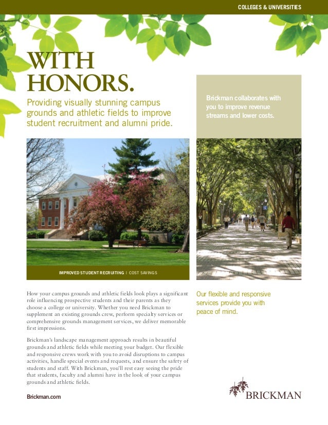 higher education flyer