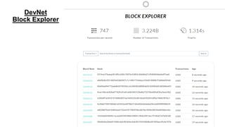 DevNet
Block Explorer
 