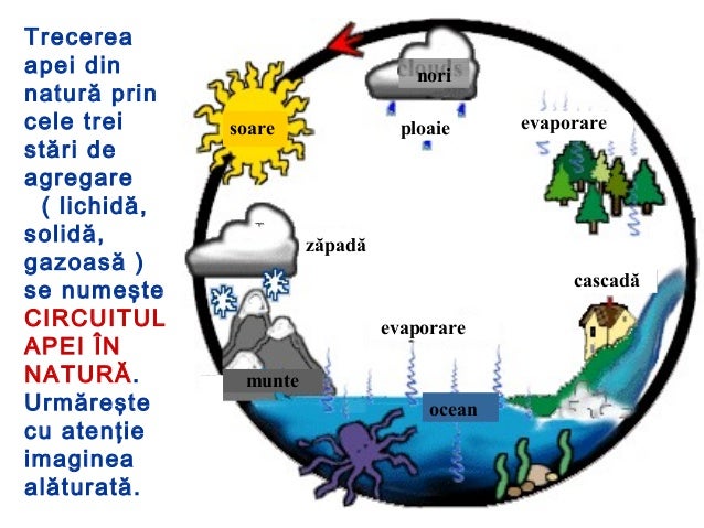 Schimbarea Stării De Agregare Powerpoint Teacher Made