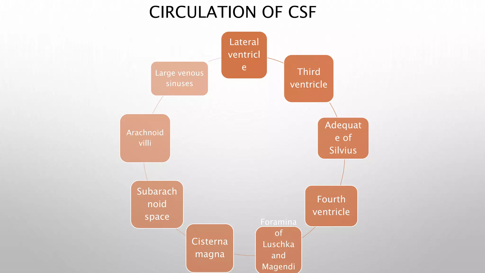 CIRCULATION OF CSF
Lateral
ventricl
e
Third
ventricle
Adequat
e of
Silvius
Fourth
ventricle
Foramina
of
Luschka
and
Magendi
Cisterna
magna
Subarach
noid
space
Arachnoid
villi
Large venous
sinuses
 