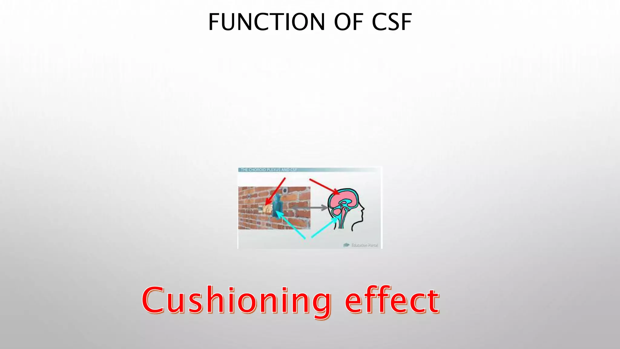 FUNCTION OF CSF
 